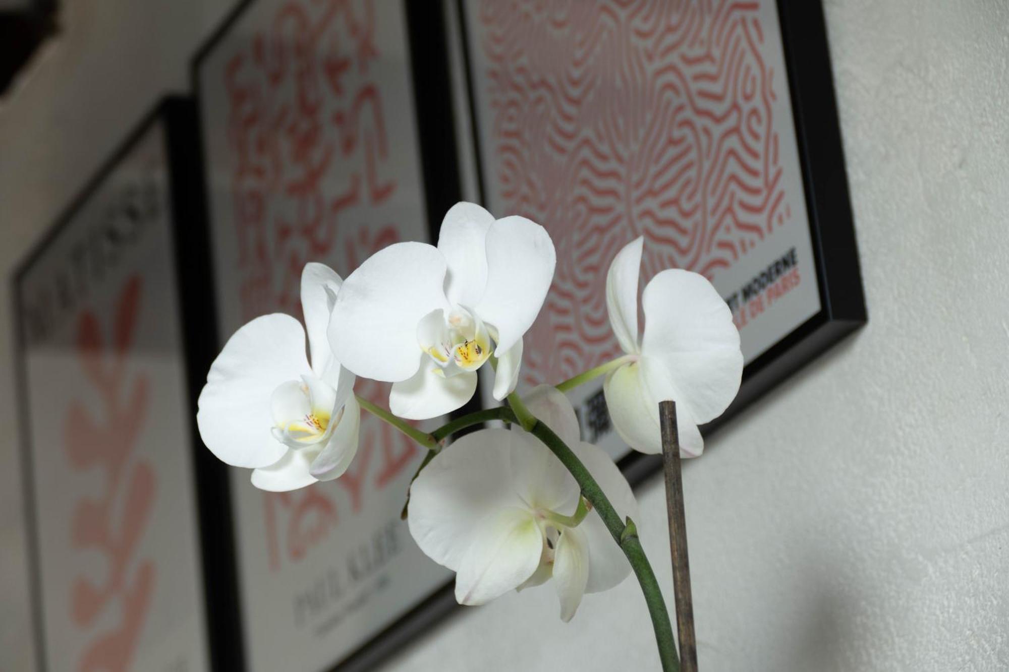Toussaint - Calme & Authentique Apartamento *