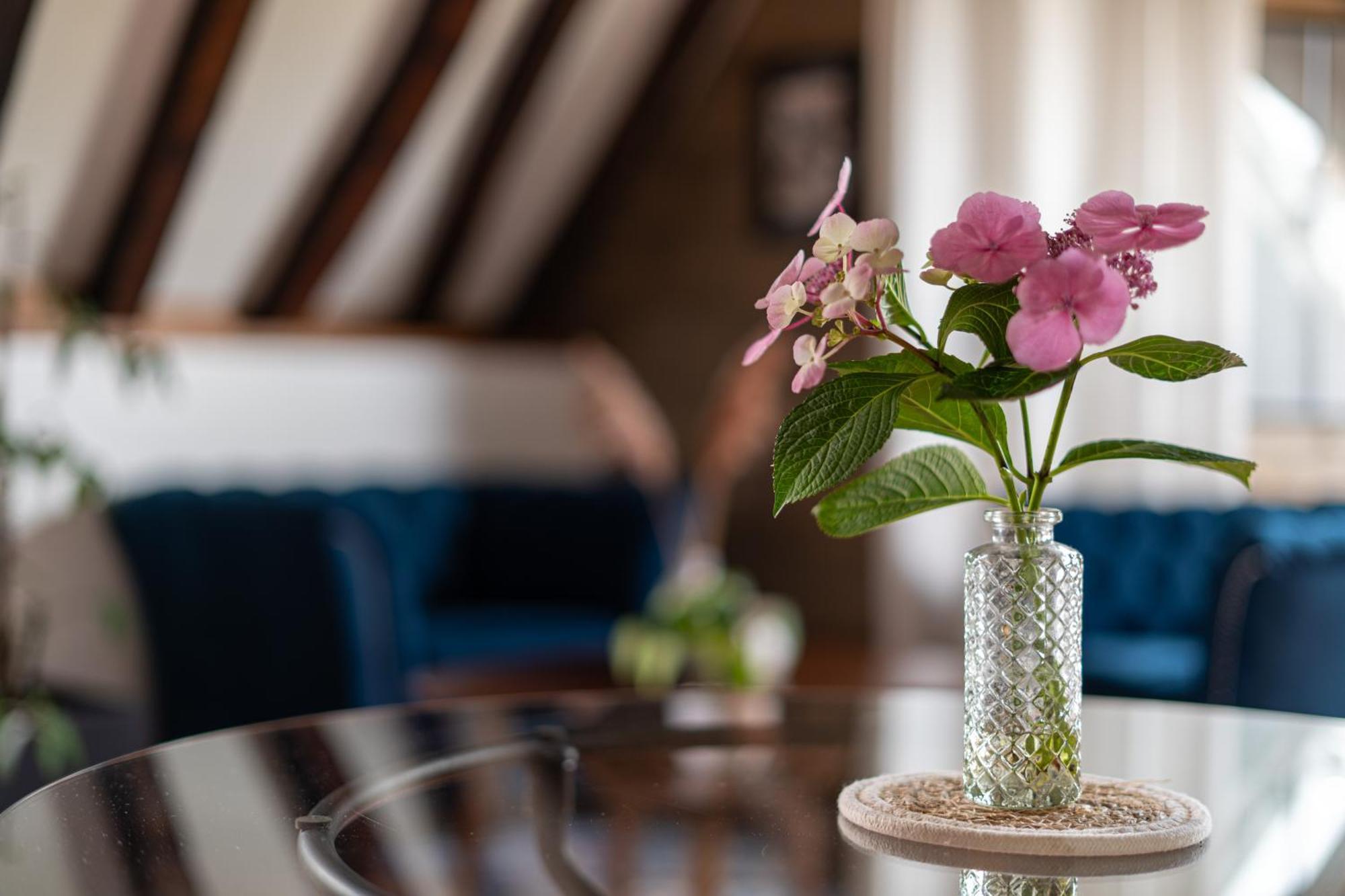 Appartement Toussaint - Calme & Authentique Angers